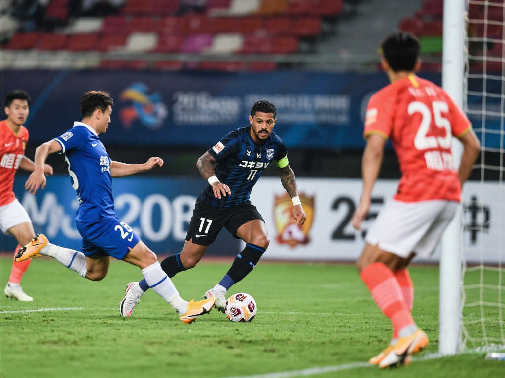 的职业生涯 的职业生涯